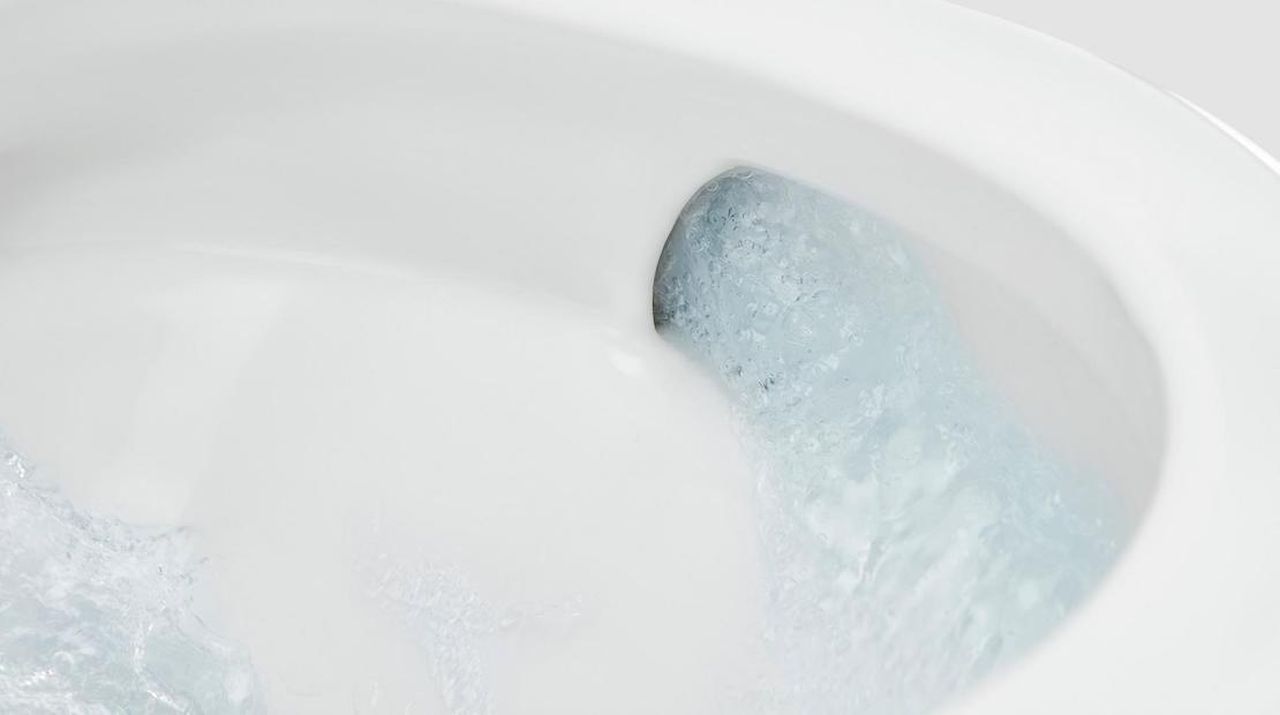 Roca In-Wash Vorea Smart Toilet - water-saving flushing system