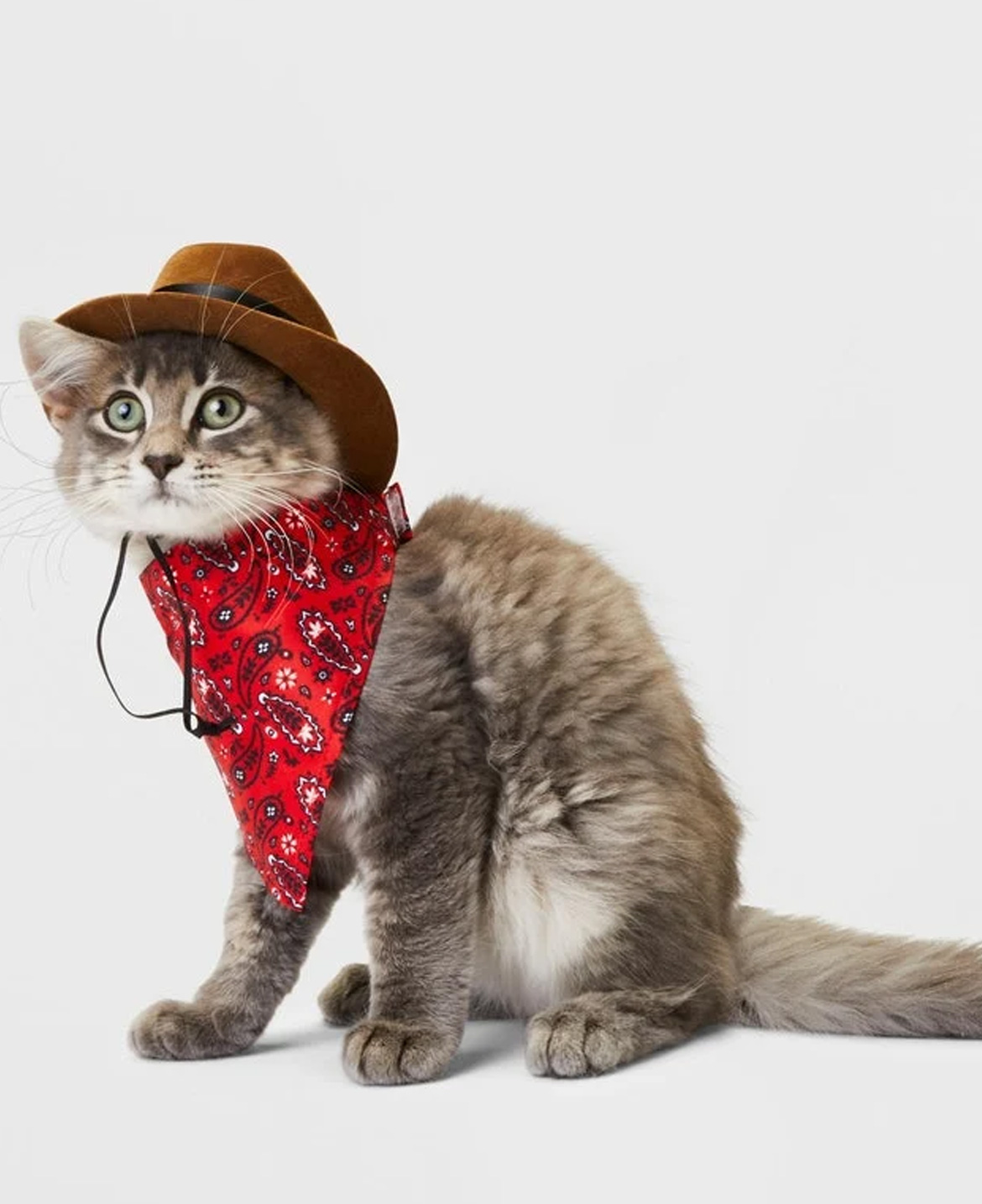 Cowboy Cat Costume