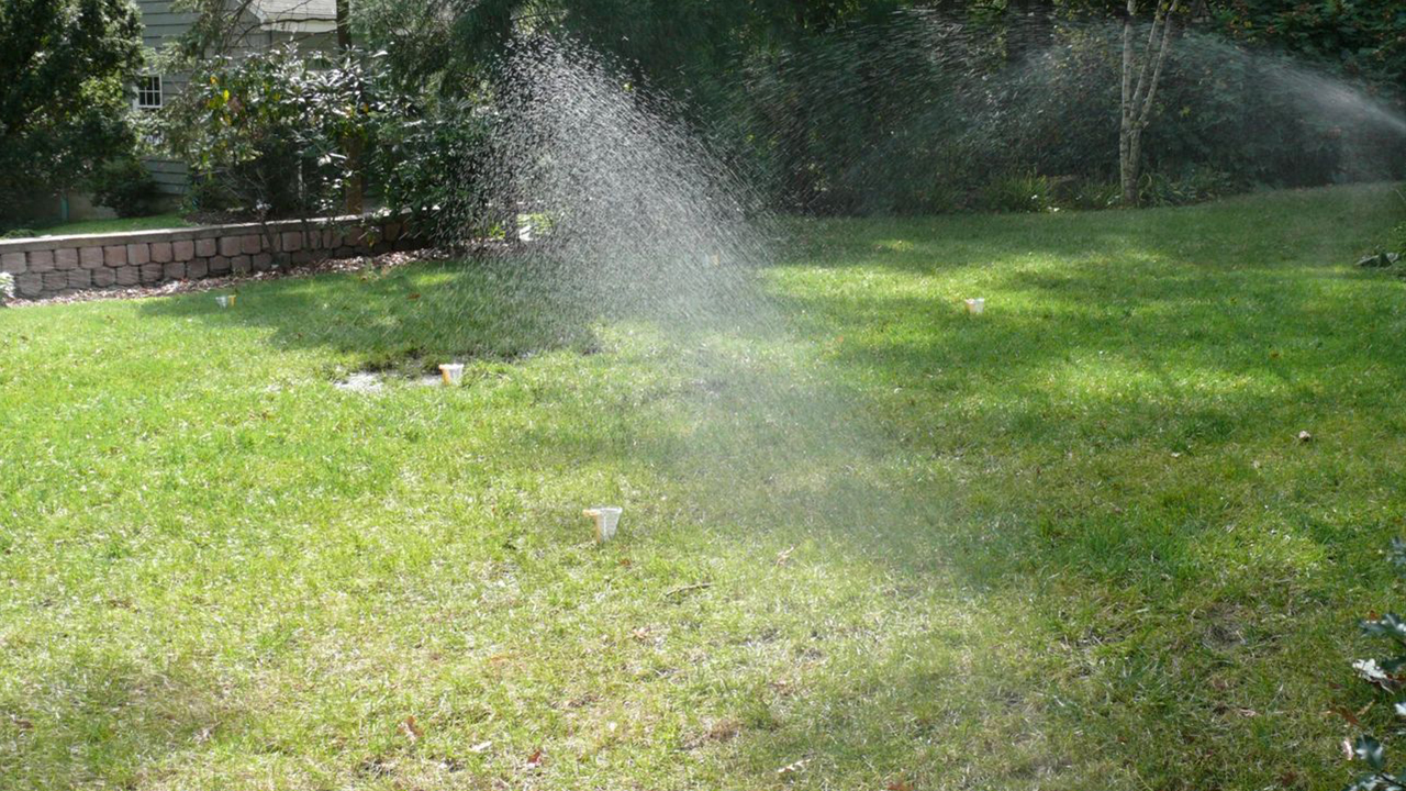 checking lawn watering coverage with cans