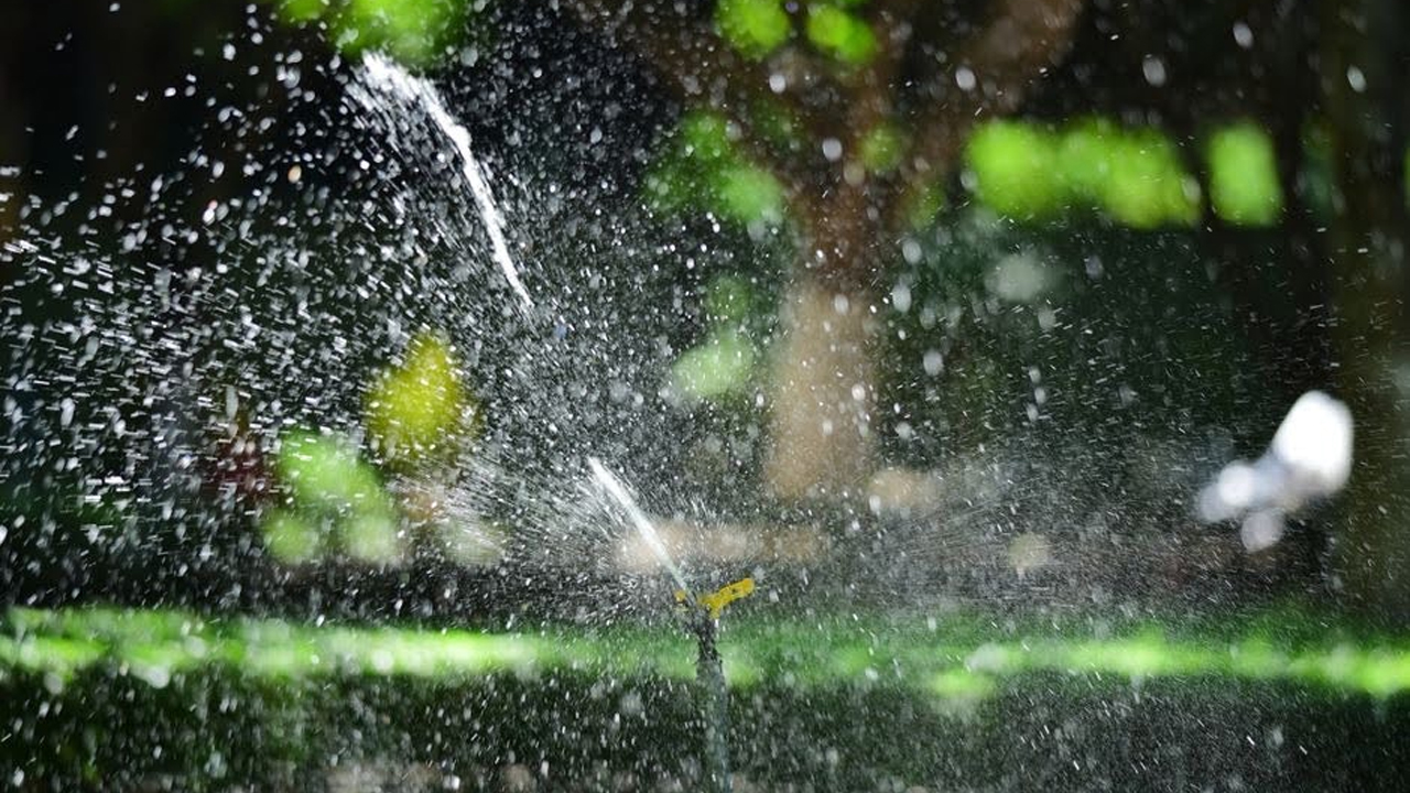 The 10-Minute Lawn Watering Audit That Could Change How You Irrigate