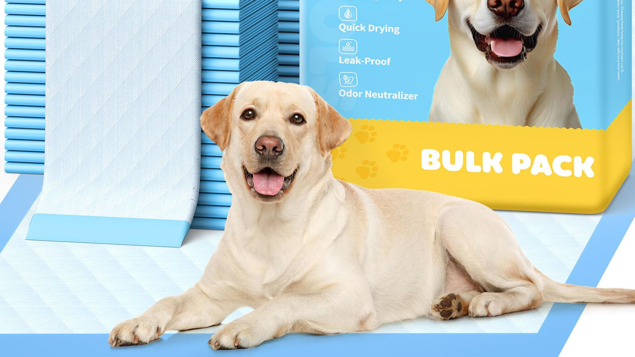 Powools Puppy Pads for Dogs_3