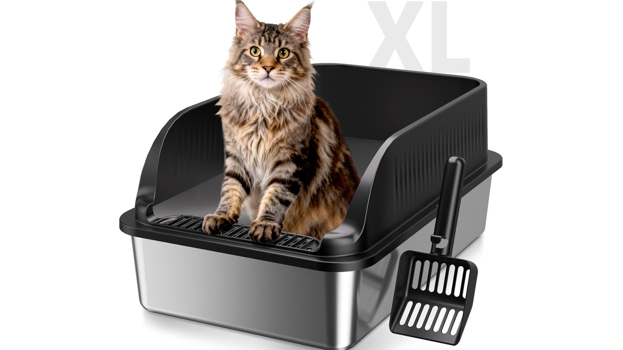 2-Pack Extra Large Stainless Steel Litter Box_11