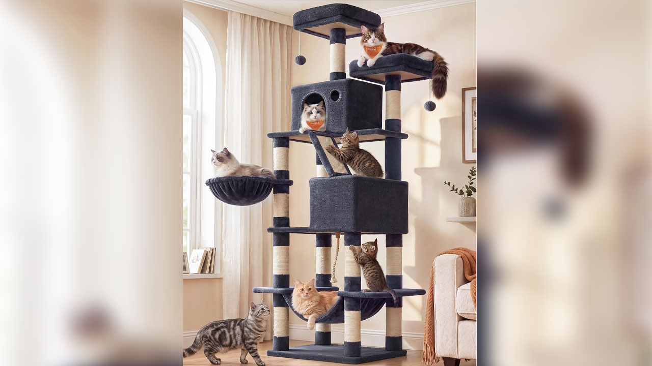 Multi-Level Cat Tower_15