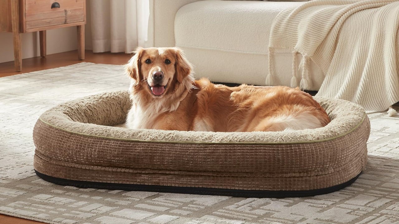 Orthopedic dog bed With 360 Degrees Bolster Comfort_24