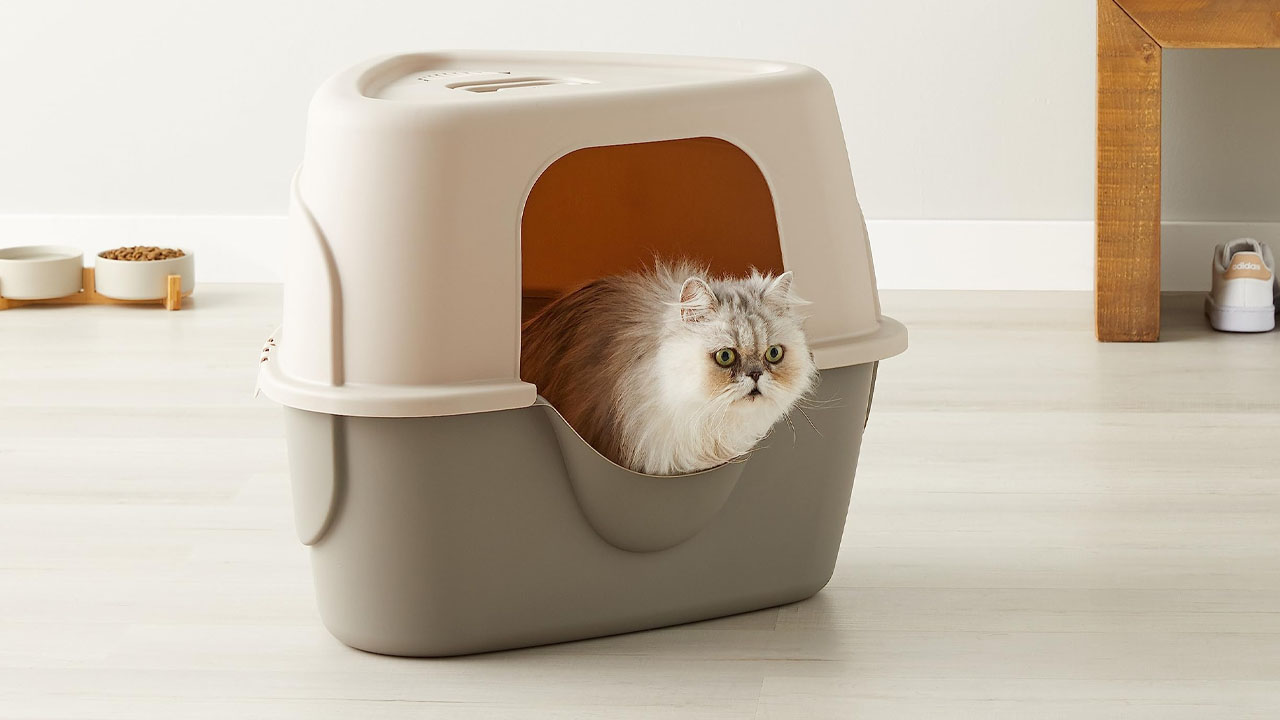 Amazon Basics Cat Litter Box_23