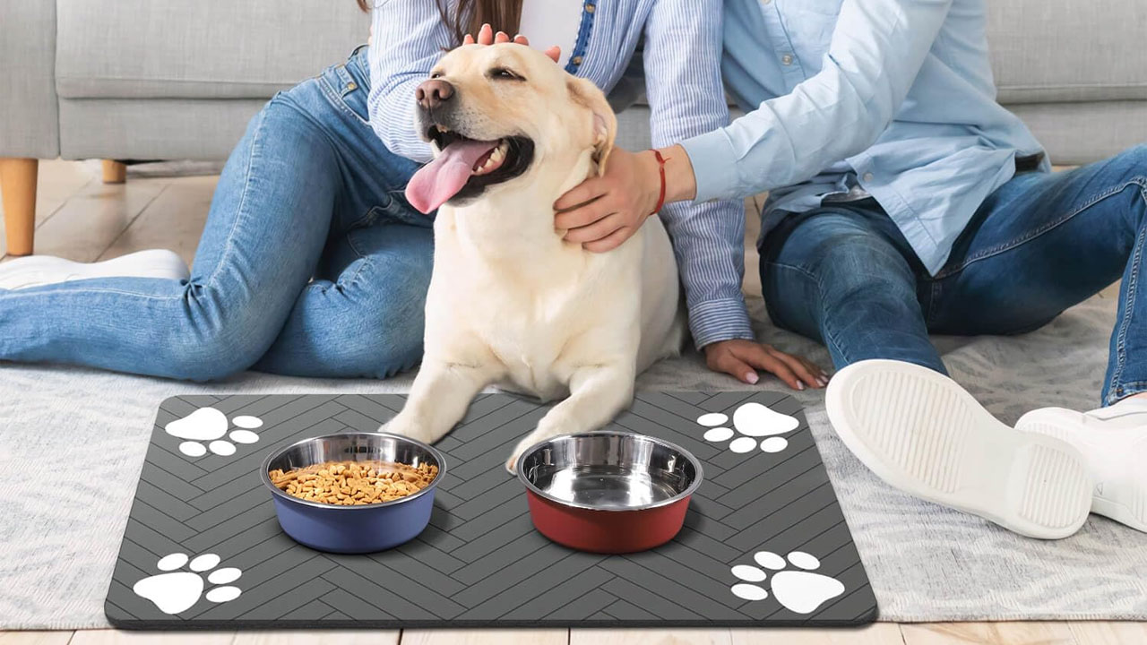 Pet Feeding Mat_20