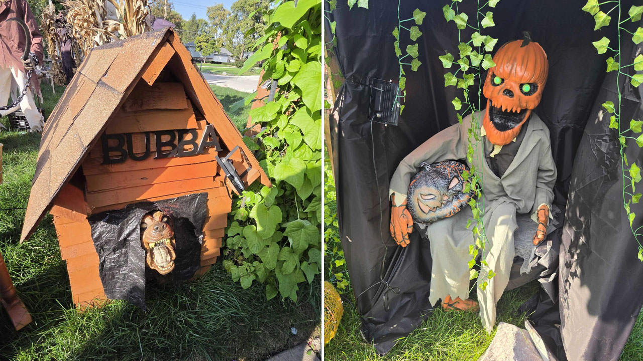 The free Walkthrough Haunt_creepy set up