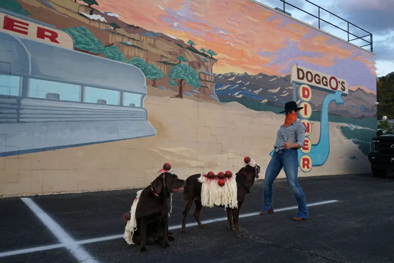 Dog spaghetti and meatballs costume