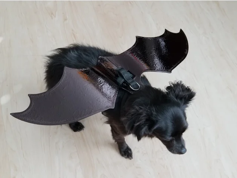 DIY Bat Dog costume halloween
