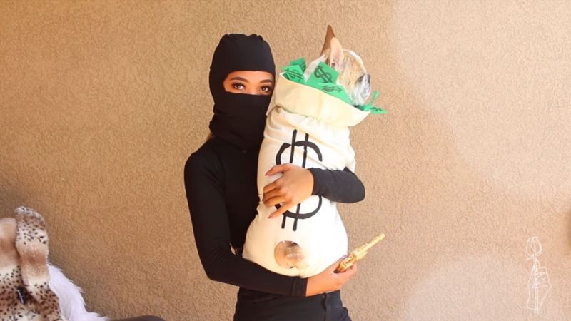 DIY Robber With Cash costume halloween