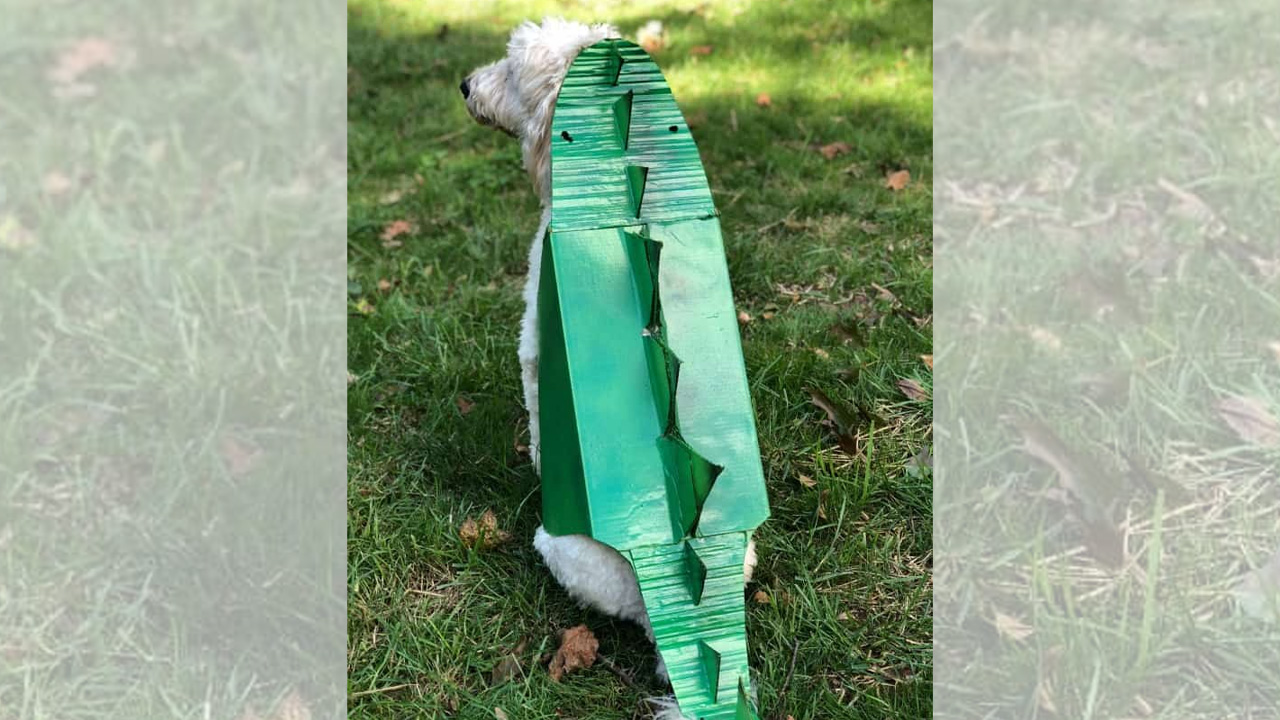Dinosaur Dog Costume