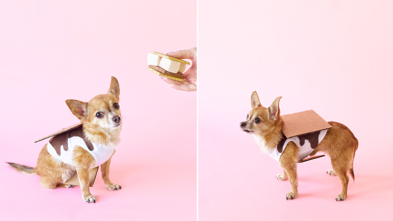 DIY S’mores Dog Costume
