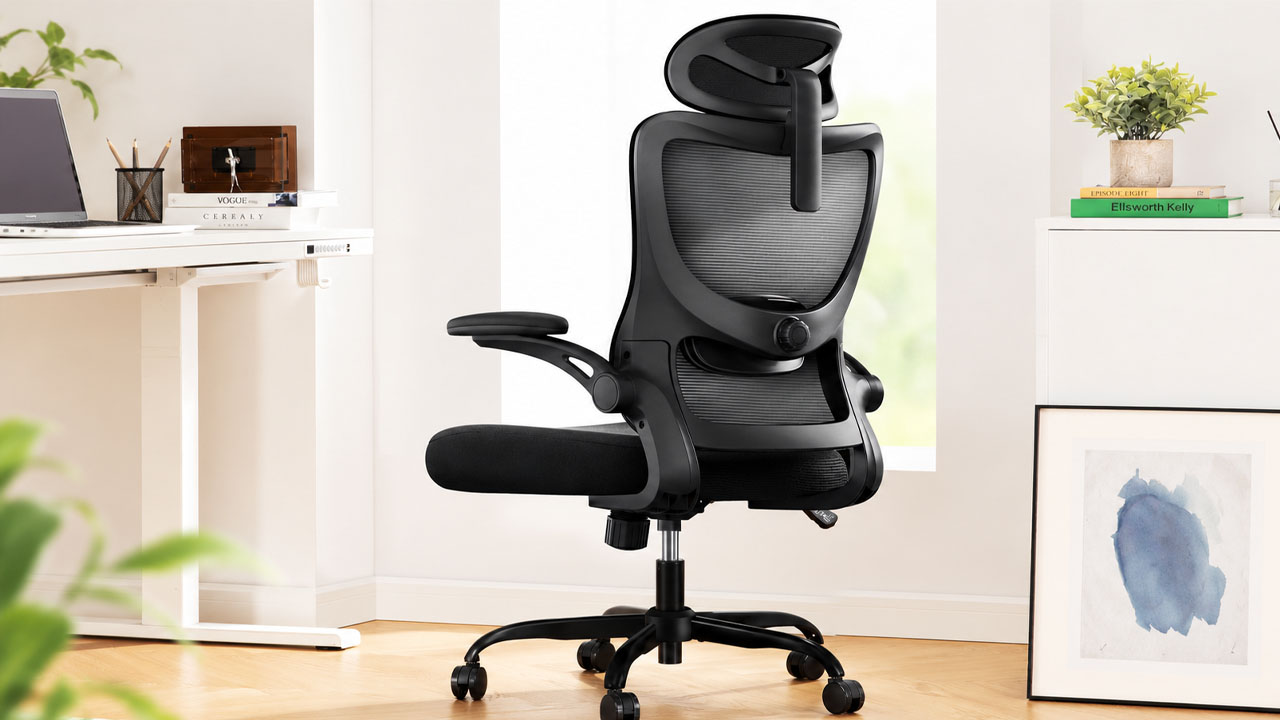 Marsail Ergonomic Office Chair
