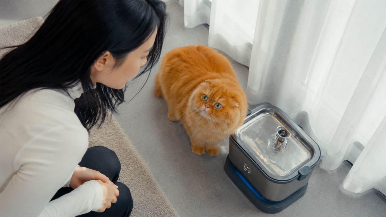 Petnimo1cat Fountain_keeps your cat hydrated