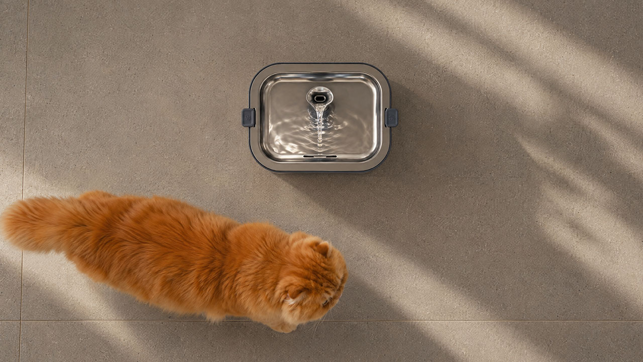 Petnimo1cat Fountain_sensor mode