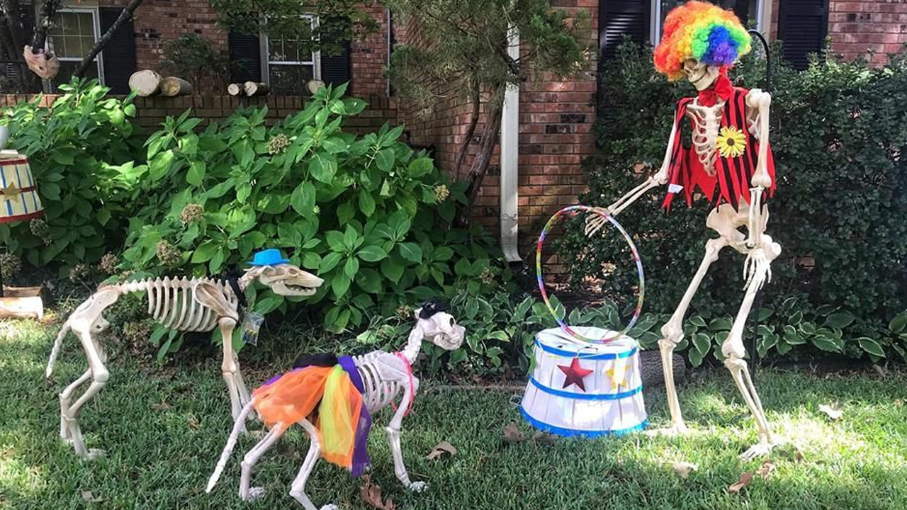 Clown With Dogs 