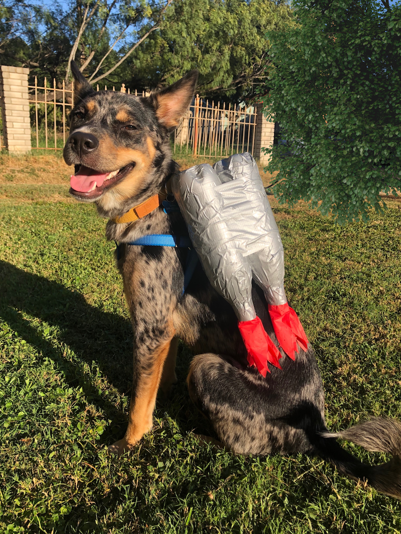 DIY Jetpack Dog Costume